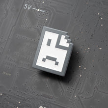 Load image into Gallery viewer, Broken Page
